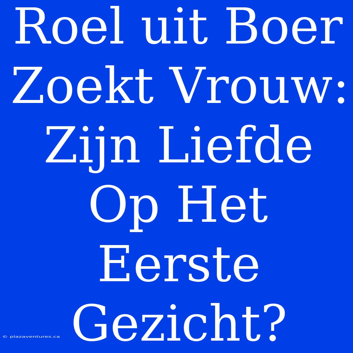 Roel Uit Boer Zoekt Vrouw: Zijn Liefde Op Het Eerste Gezicht?