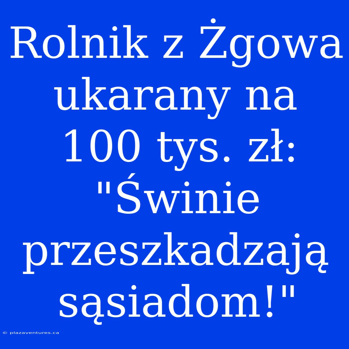 Rolnik Z Żgowa Ukarany Na 100 Tys. Zł: 