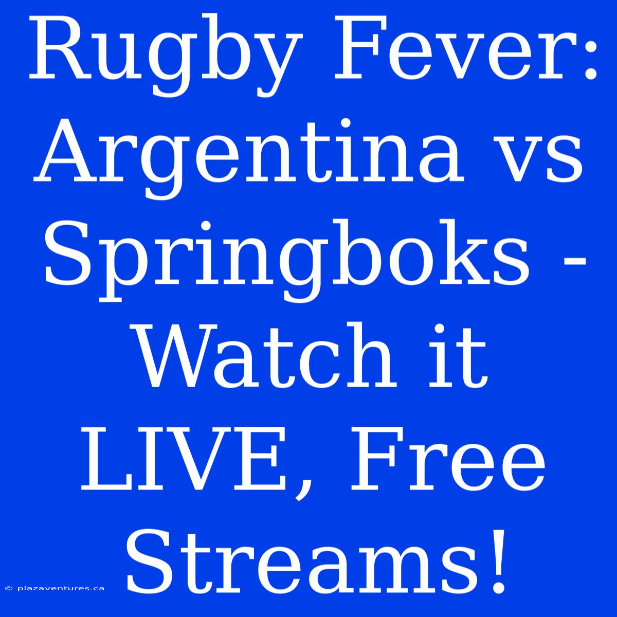 Rugby Fever: Argentina Vs Springboks - Watch It LIVE, Free Streams!