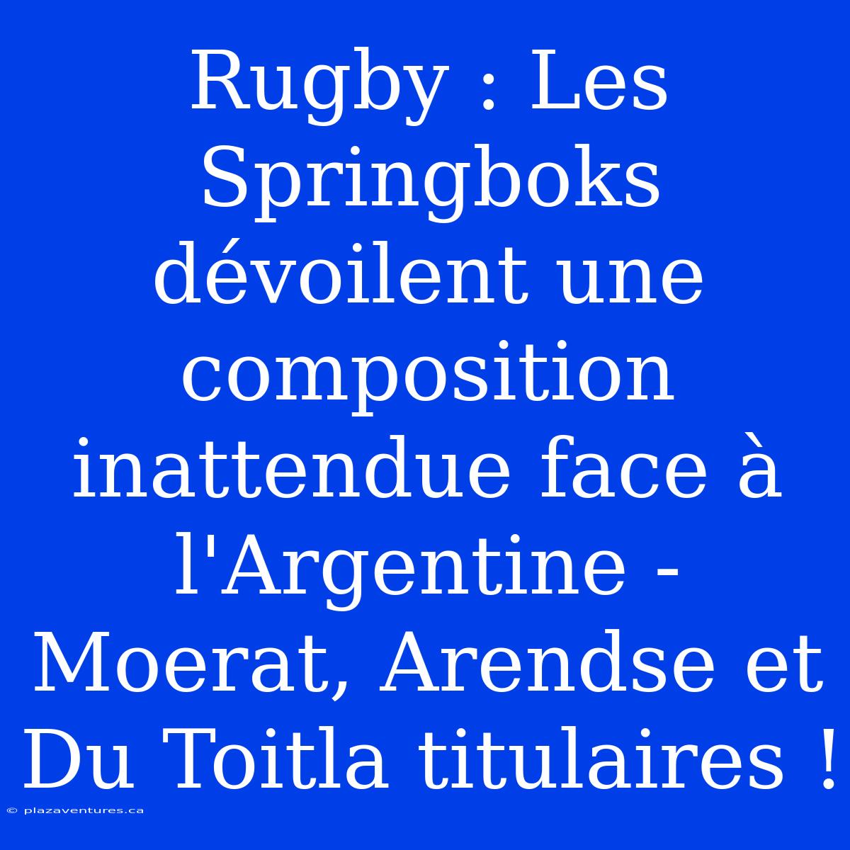 Rugby : Les Springboks Dévoilent Une Composition Inattendue Face À L'Argentine - Moerat, Arendse Et Du Toitla Titulaires !