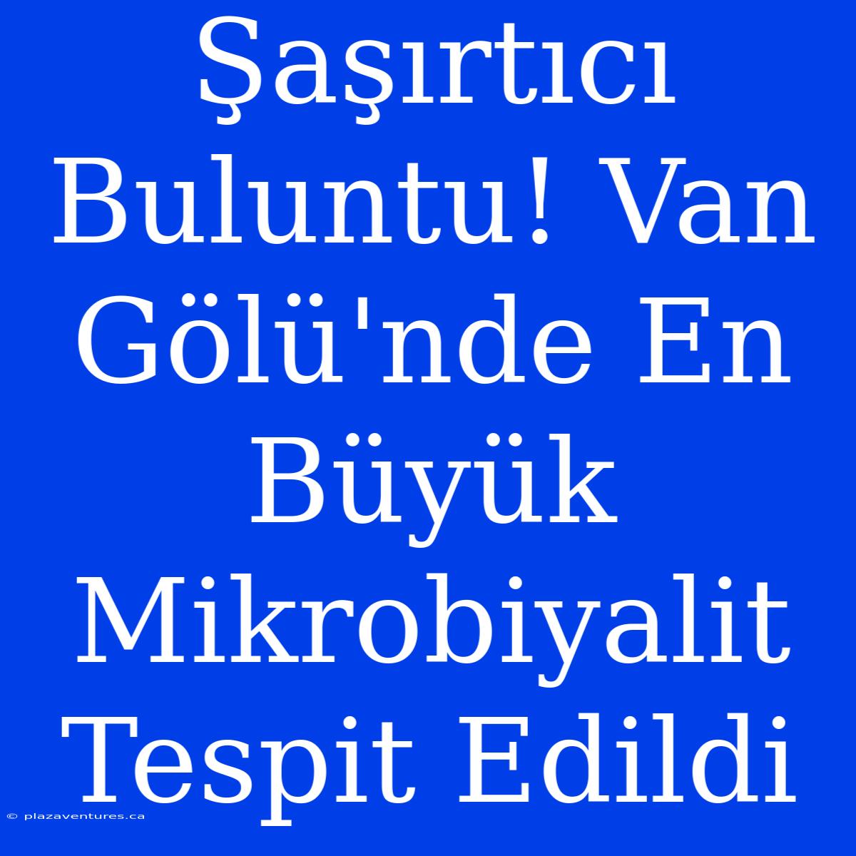 Şaşırtıcı Buluntu! Van Gölü'nde En Büyük Mikrobiyalit Tespit Edildi