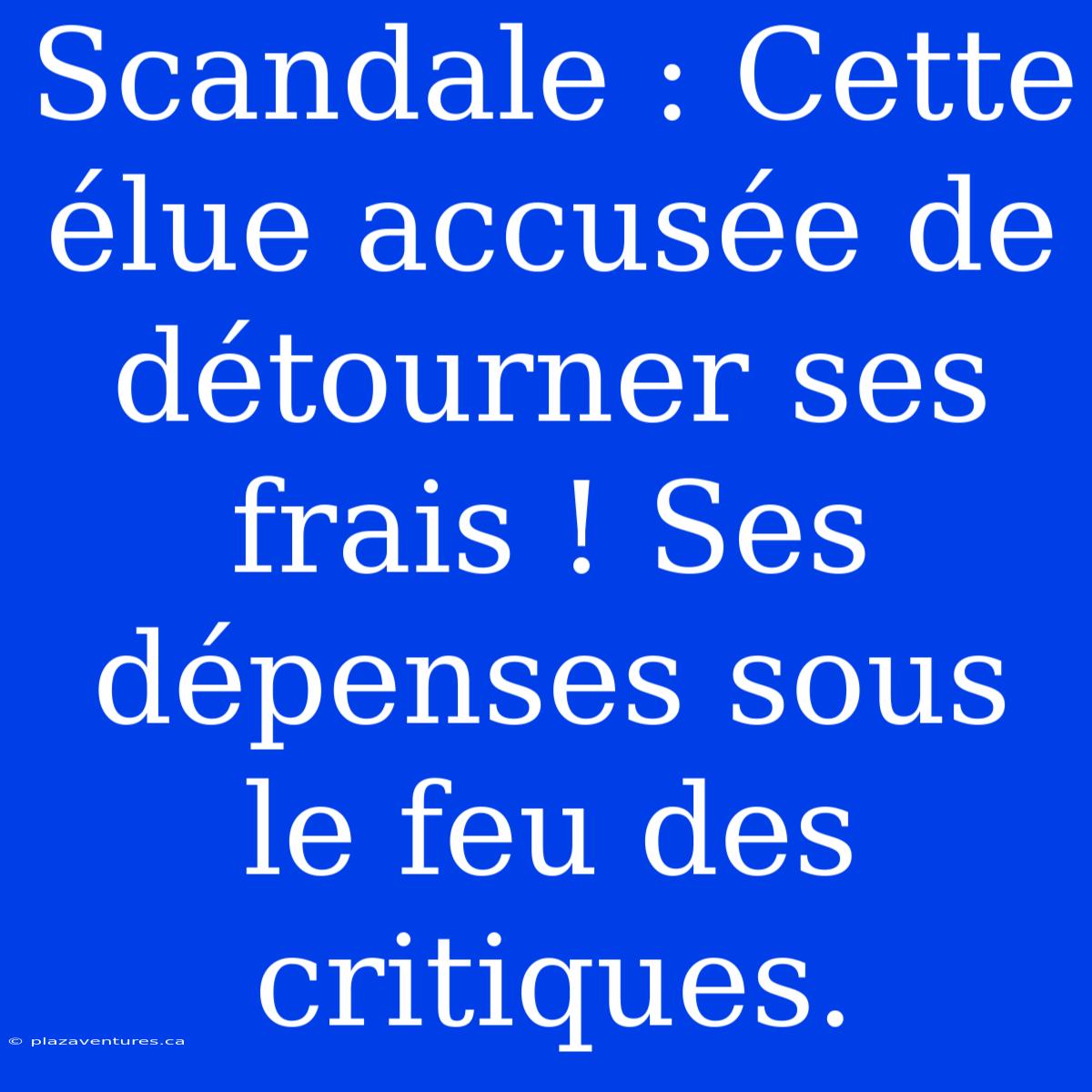 Scandale : Cette Élue Accusée De Détourner Ses Frais ! Ses Dépenses Sous Le Feu Des Critiques.