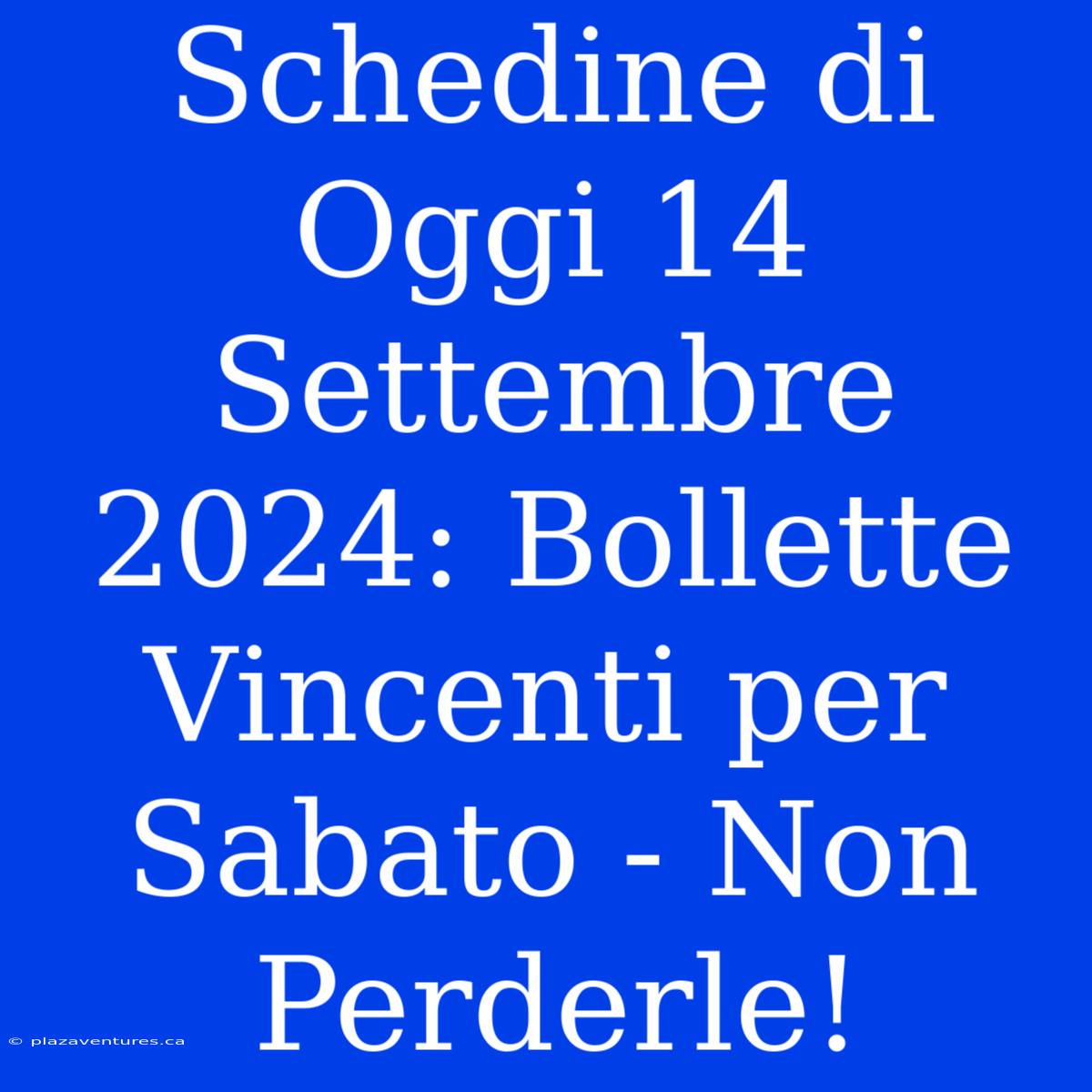 Schedine Di Oggi 14 Settembre 2024: Bollette Vincenti Per Sabato - Non Perderle!