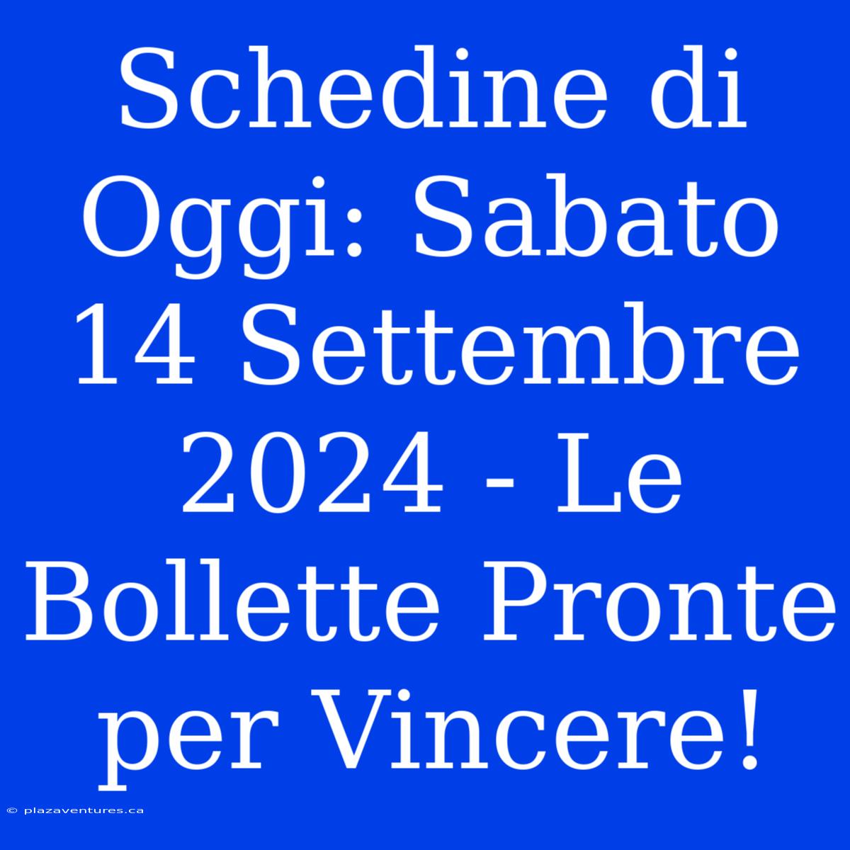 Schedine Di Oggi: Sabato 14 Settembre 2024 - Le Bollette Pronte Per Vincere!