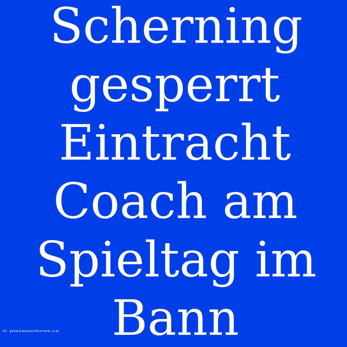 Scherning Gesperrt Eintracht Coach Am Spieltag Im Bann