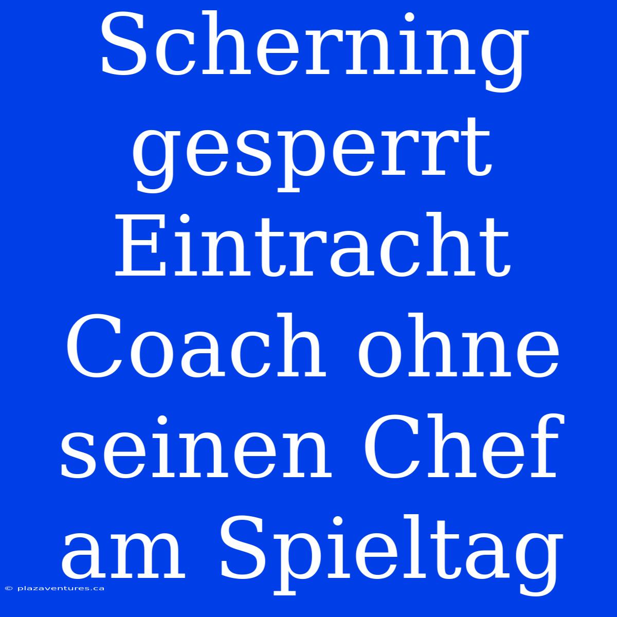 Scherning Gesperrt  Eintracht Coach Ohne Seinen Chef Am Spieltag