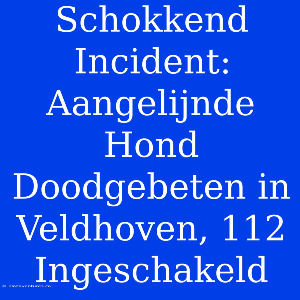 Schokkend Incident: Aangelijnde Hond Doodgebeten In Veldhoven, 112 Ingeschakeld