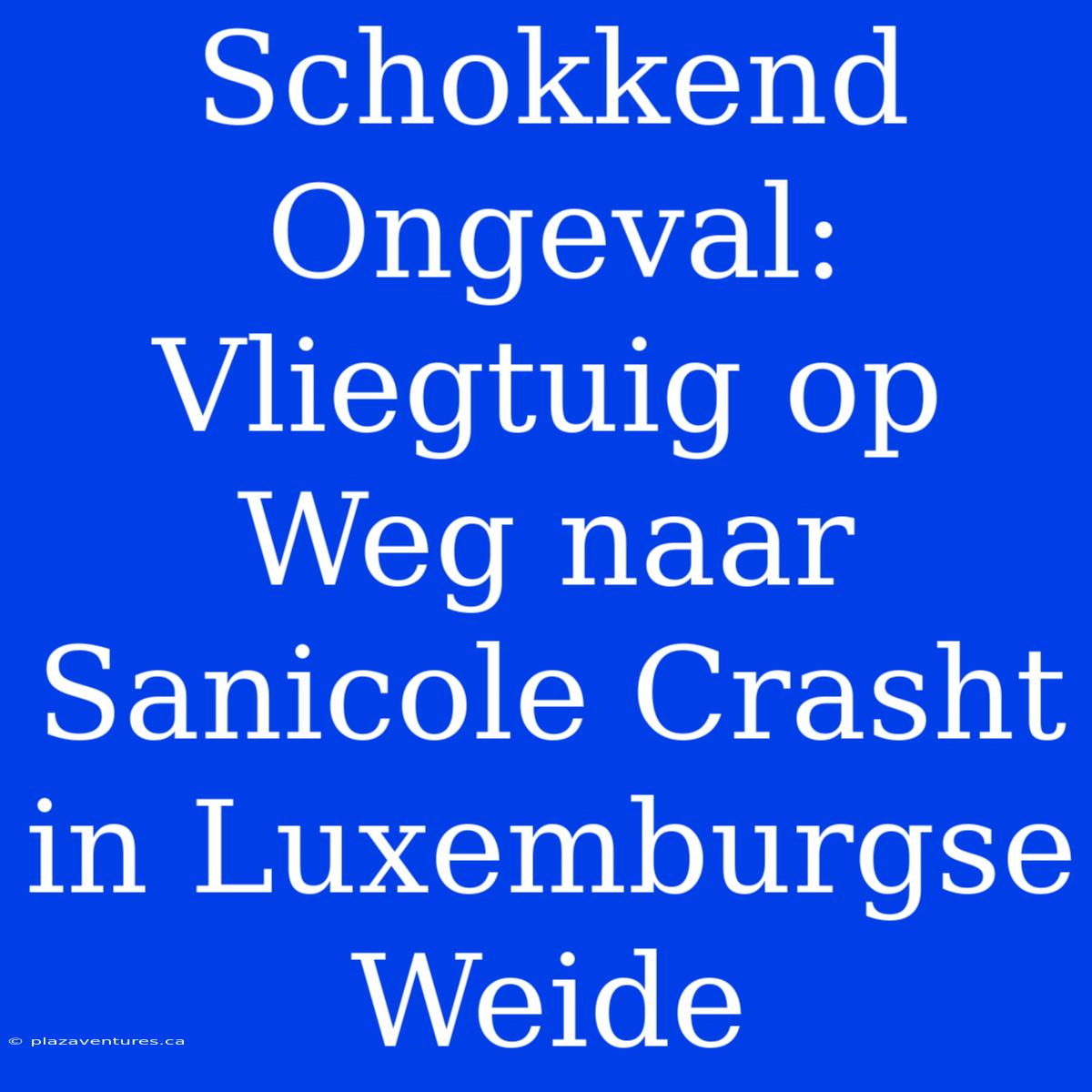 Schokkend Ongeval: Vliegtuig Op Weg Naar Sanicole Crasht In Luxemburgse Weide