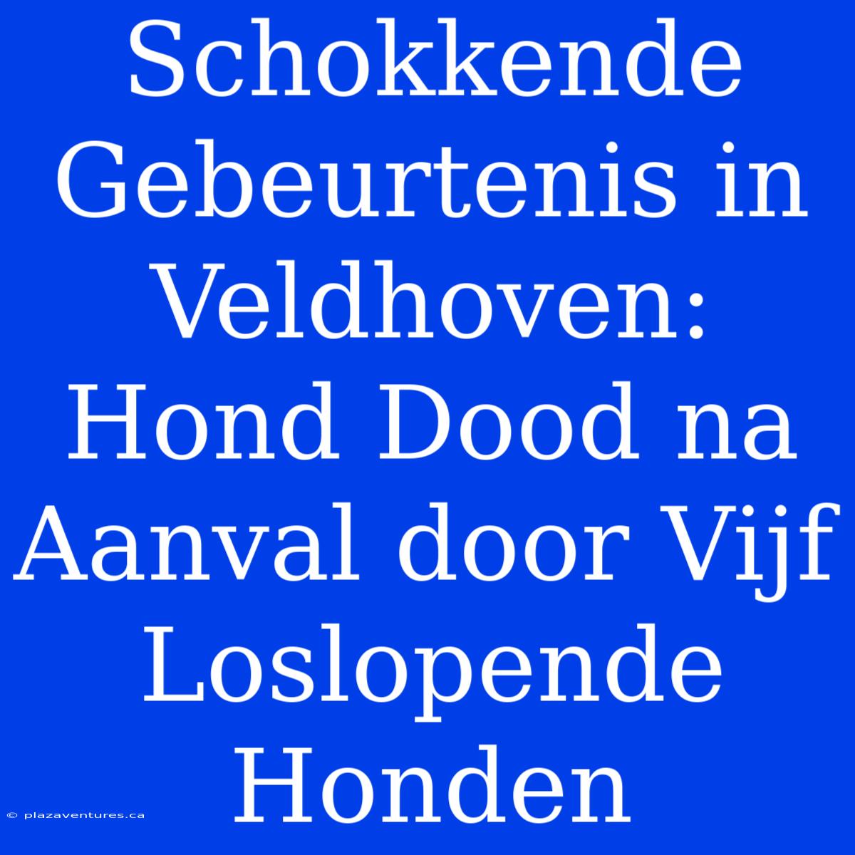 Schokkende Gebeurtenis In Veldhoven: Hond Dood Na Aanval Door Vijf Loslopende Honden