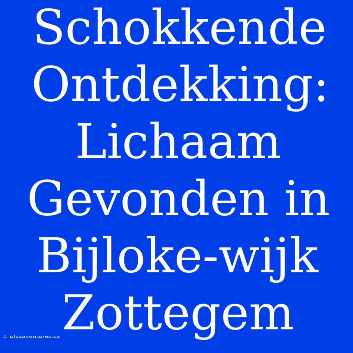 Schokkende Ontdekking: Lichaam Gevonden In Bijloke-wijk Zottegem