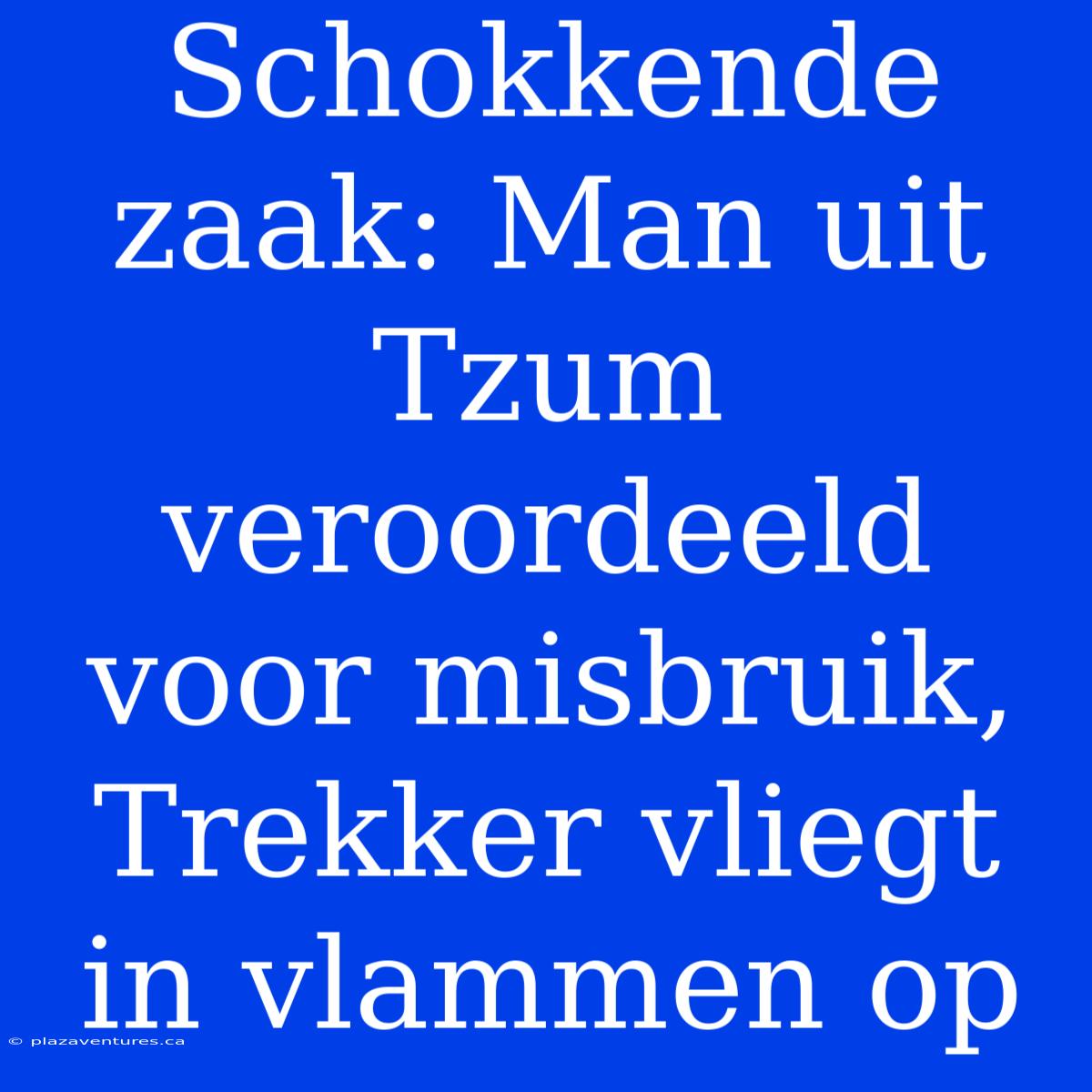 Schokkende Zaak: Man Uit Tzum Veroordeeld Voor Misbruik, Trekker Vliegt In Vlammen Op