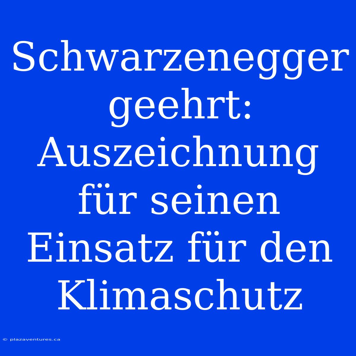 Schwarzenegger Geehrt: Auszeichnung Für Seinen Einsatz Für Den Klimaschutz