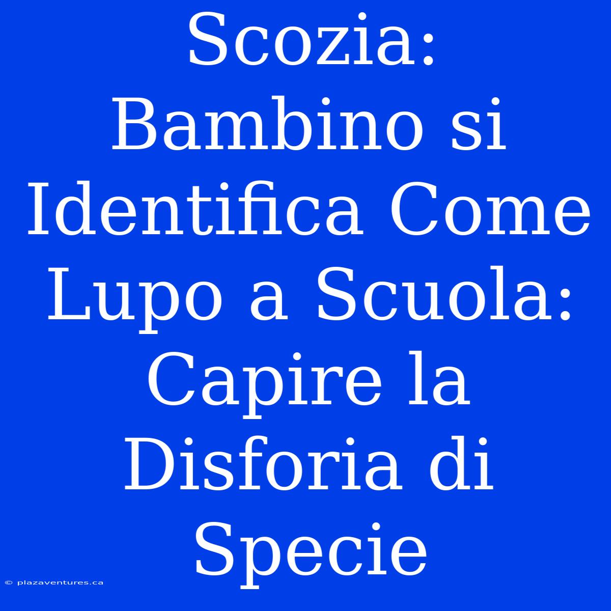 Scozia: Bambino Si Identifica Come Lupo A Scuola: Capire La Disforia Di Specie