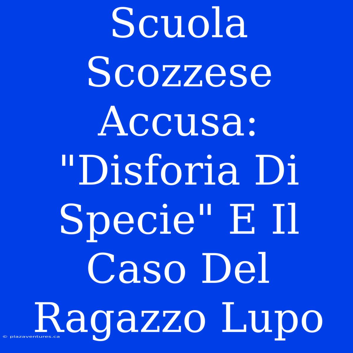 Scuola Scozzese Accusa: 