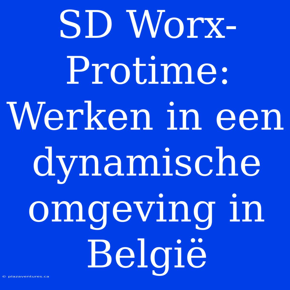 SD Worx-Protime: Werken In Een Dynamische Omgeving In België