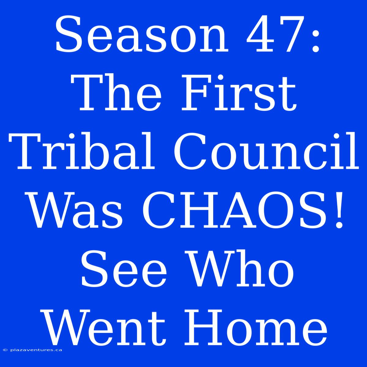 Season 47: The First Tribal Council Was CHAOS! See Who Went Home