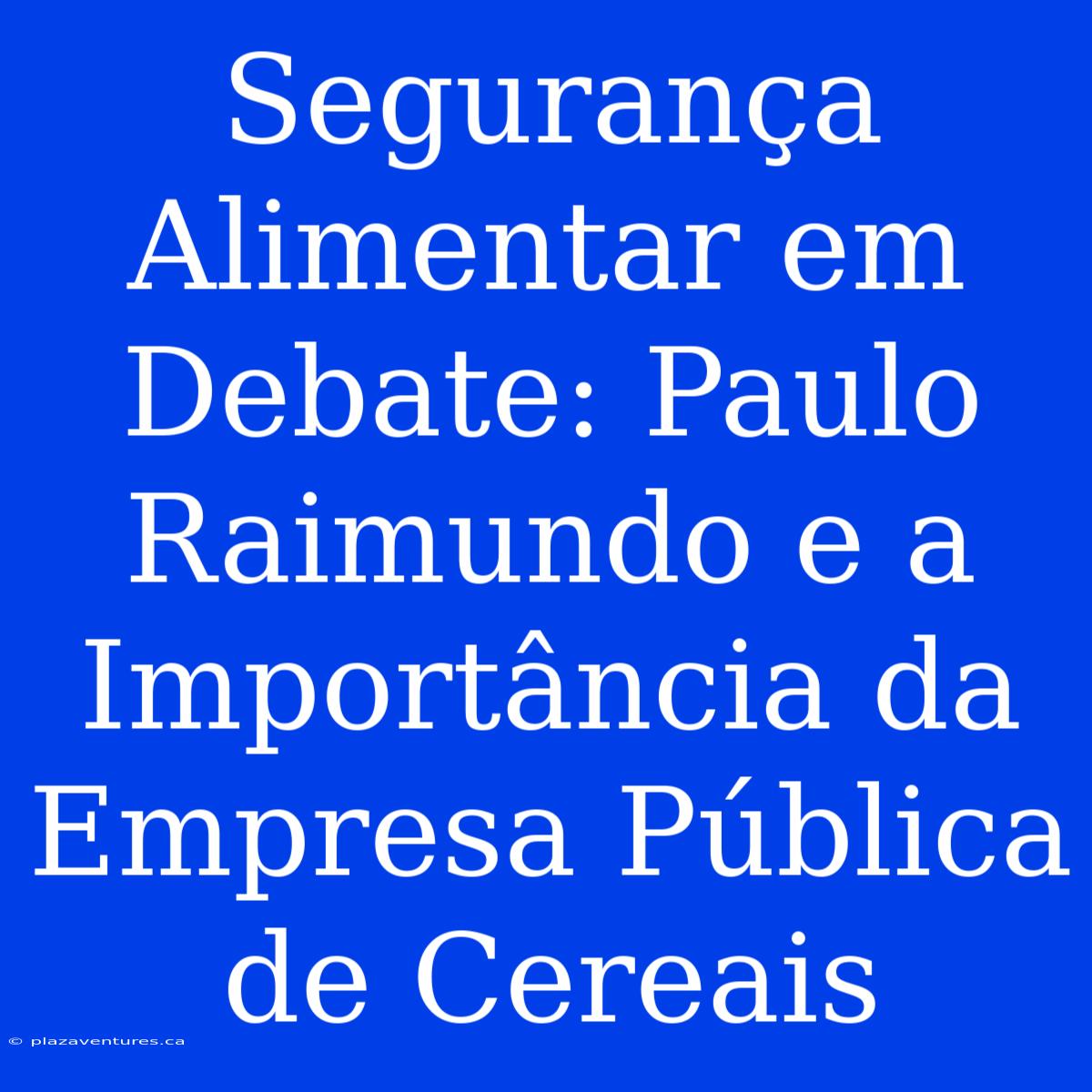 Segurança Alimentar Em Debate: Paulo Raimundo E A Importância Da Empresa Pública De Cereais