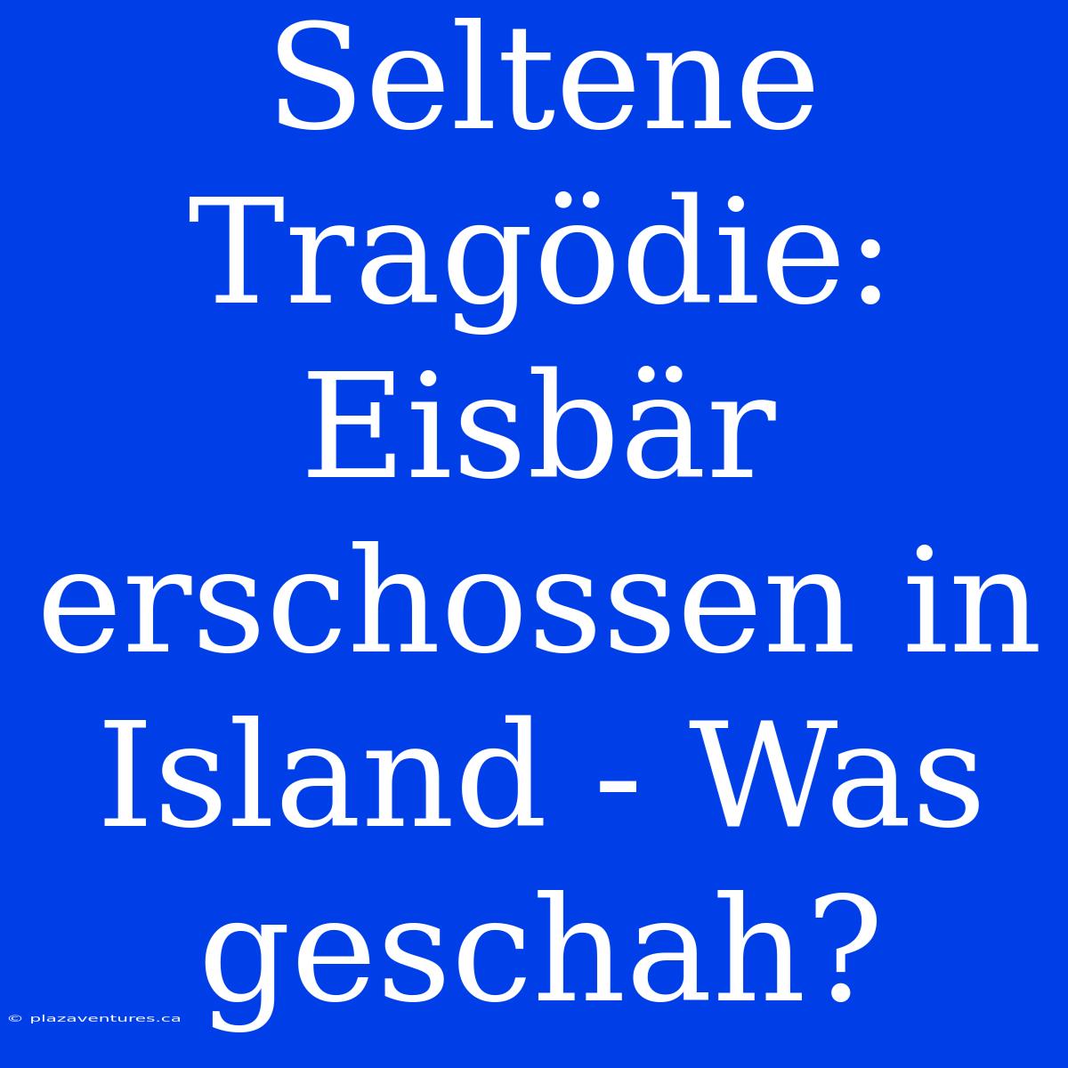 Seltene Tragödie: Eisbär Erschossen In Island - Was Geschah?