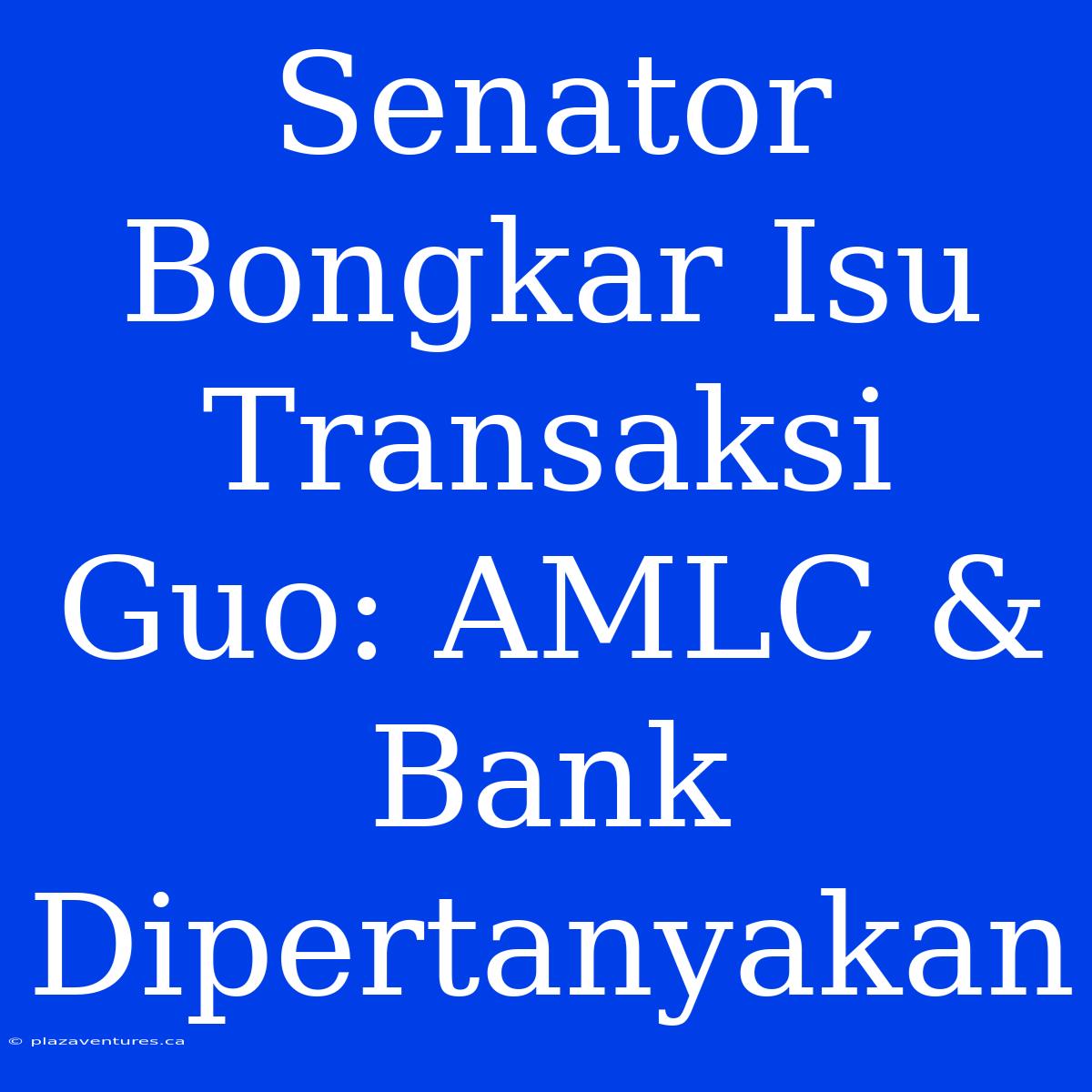 Senator Bongkar Isu Transaksi Guo: AMLC & Bank Dipertanyakan