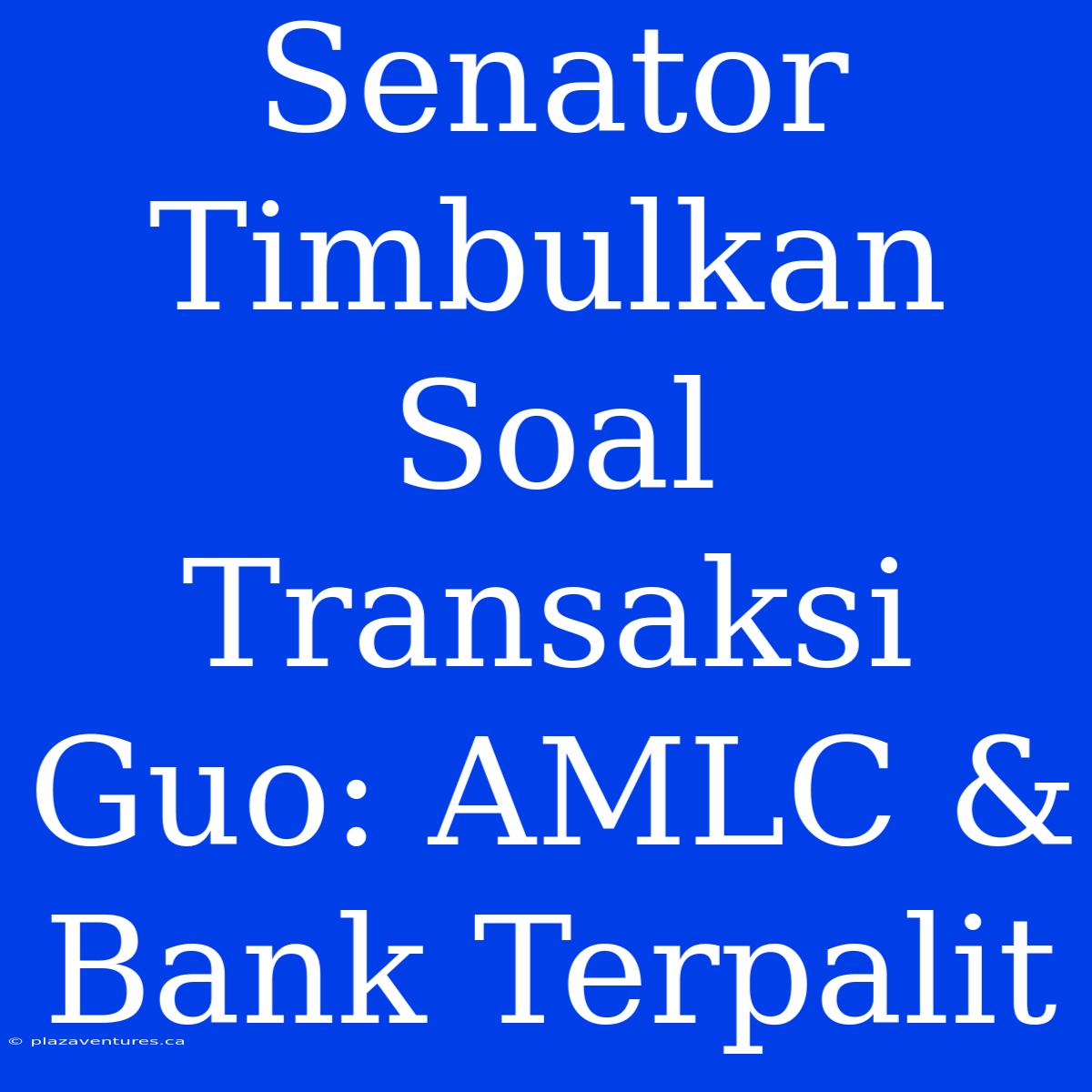 Senator Timbulkan Soal Transaksi Guo: AMLC & Bank Terpalit