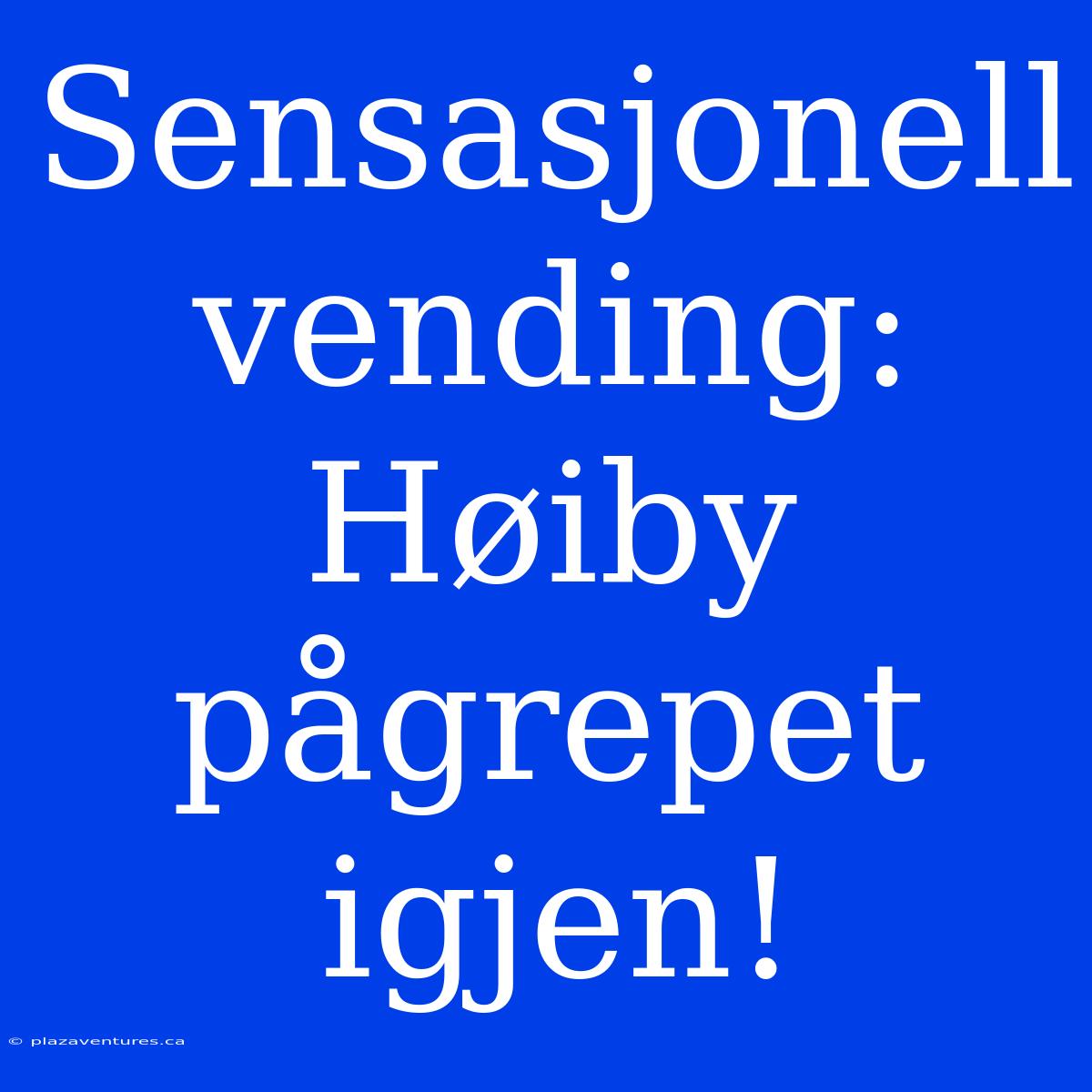 Sensasjonell Vending: Høiby Pågrepet Igjen!