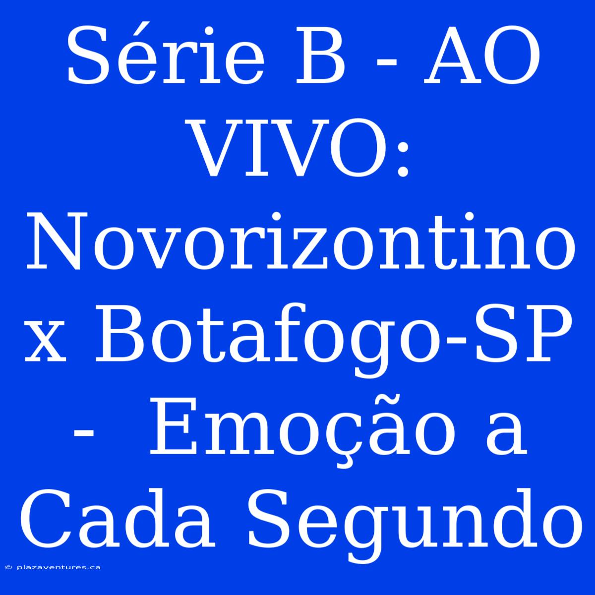 Série B - AO VIVO: Novorizontino X Botafogo-SP -  Emoção A Cada Segundo