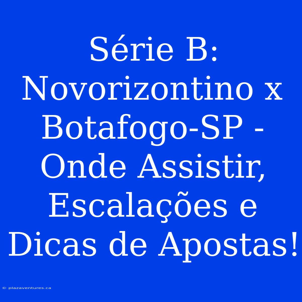 Série B: Novorizontino X Botafogo-SP - Onde Assistir, Escalações E Dicas De Apostas!