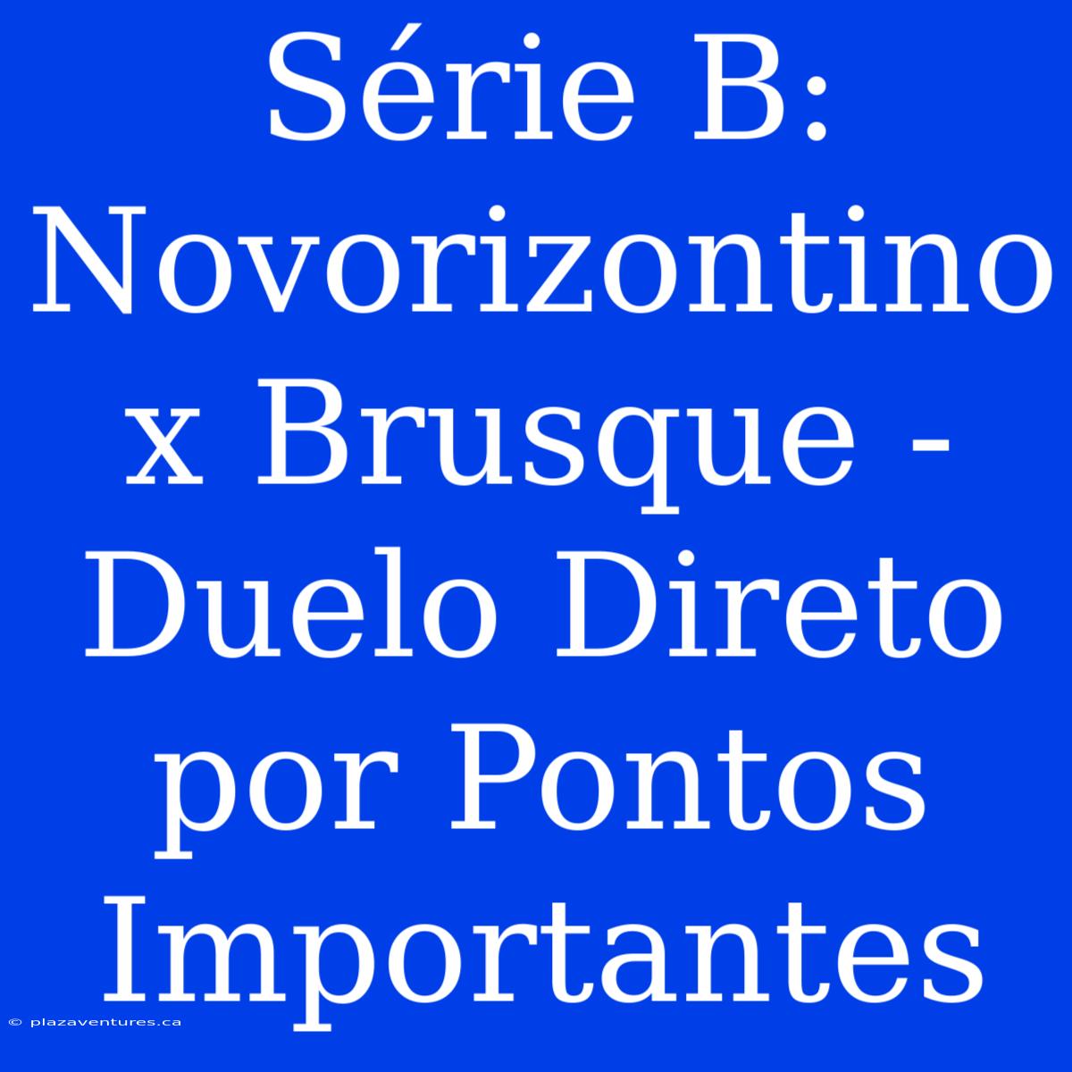 Série B: Novorizontino X Brusque - Duelo Direto Por Pontos Importantes