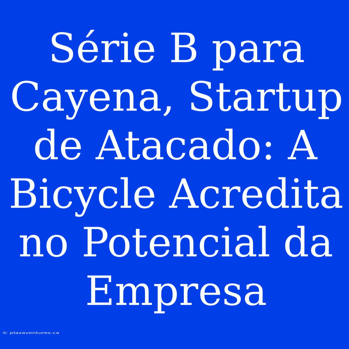 Série B Para Cayena, Startup De Atacado: A Bicycle Acredita No Potencial Da Empresa