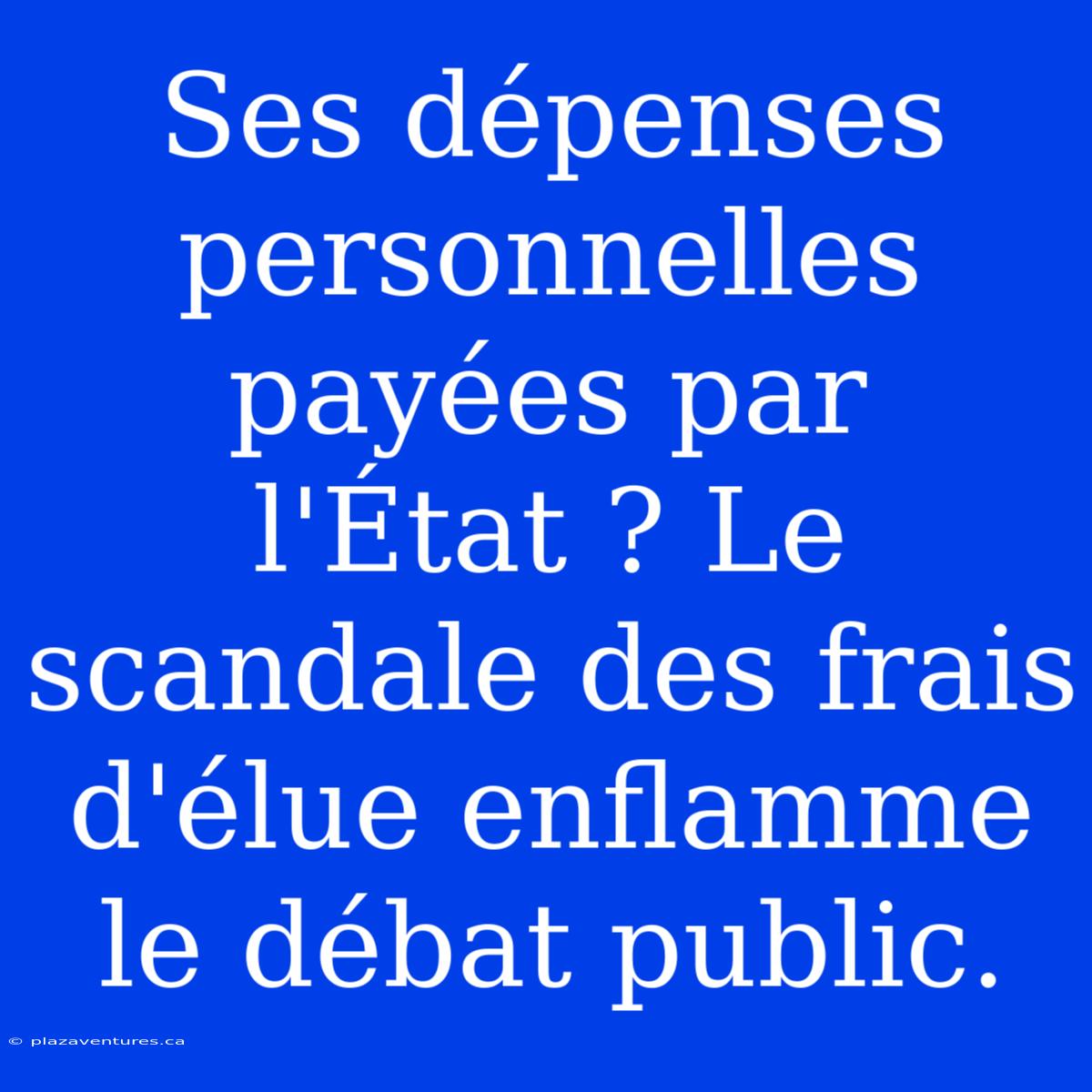 Ses Dépenses Personnelles Payées Par L'État ? Le Scandale Des Frais D'élue Enflamme Le Débat Public.