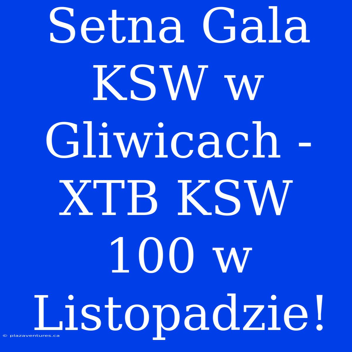 Setna Gala KSW W Gliwicach - XTB KSW 100 W Listopadzie!