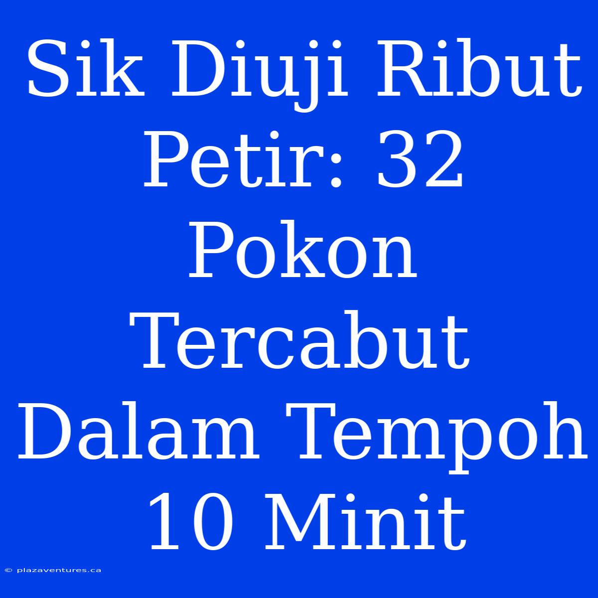 Sik Diuji Ribut Petir: 32 Pokon Tercabut Dalam Tempoh 10 Minit