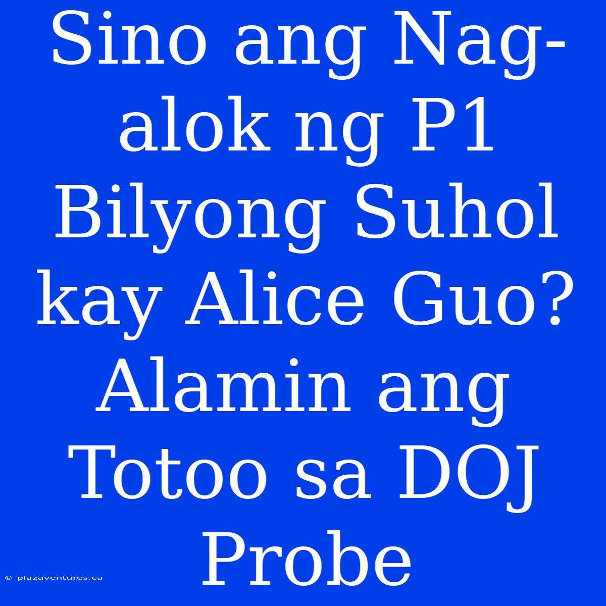 Sino Ang Nag-alok Ng P1 Bilyong Suhol Kay Alice Guo? Alamin Ang Totoo Sa DOJ Probe