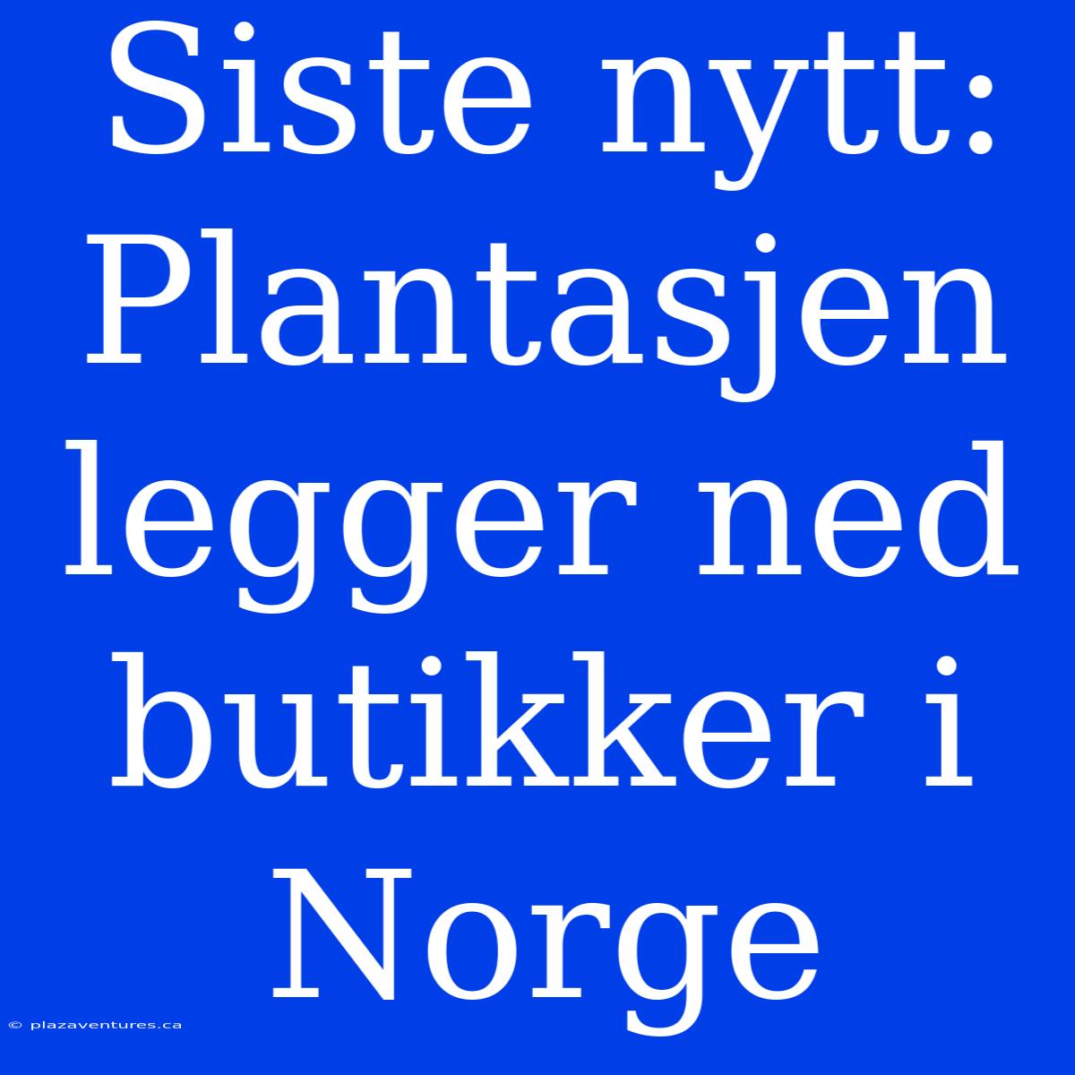 Siste Nytt: Plantasjen Legger Ned Butikker I Norge