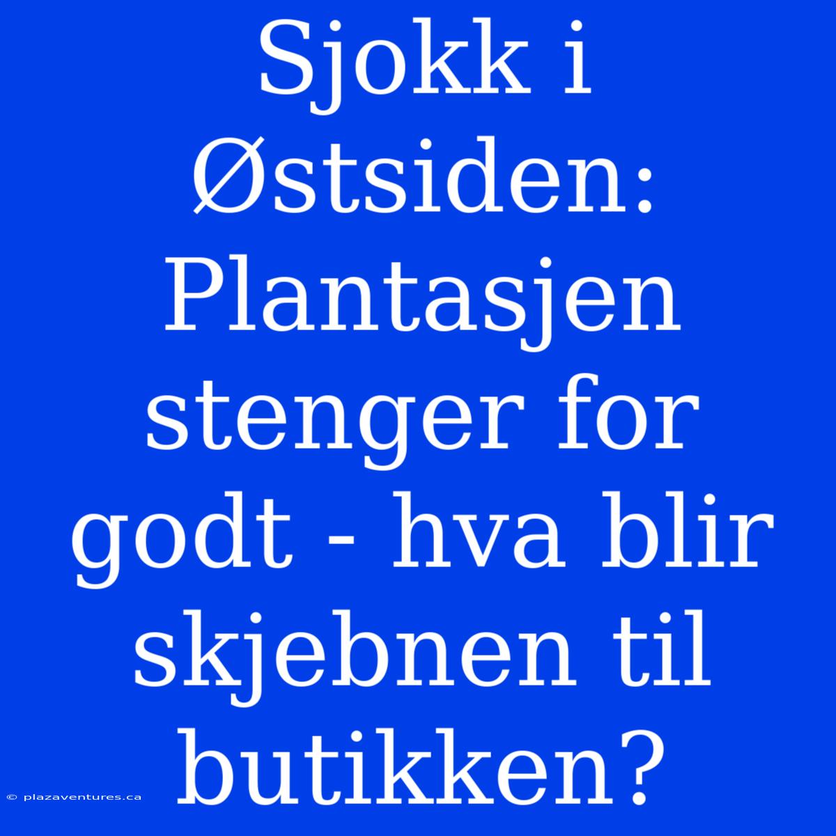 Sjokk I Østsiden: Plantasjen Stenger For Godt - Hva Blir Skjebnen Til Butikken?