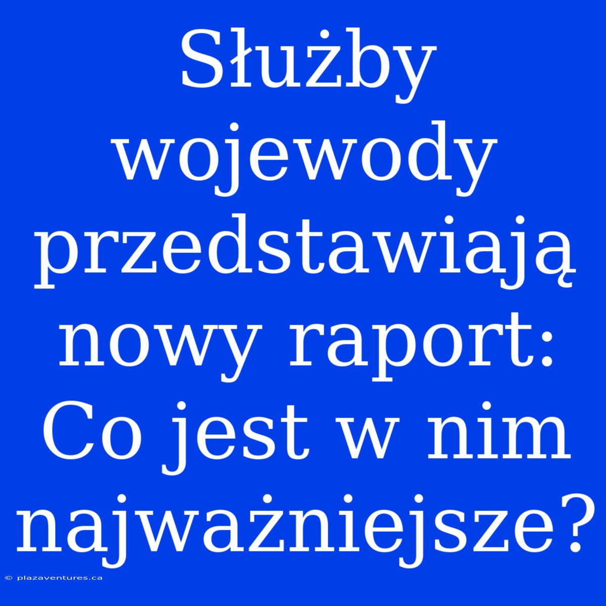 Służby Wojewody Przedstawiają Nowy Raport: Co Jest W Nim Najważniejsze?