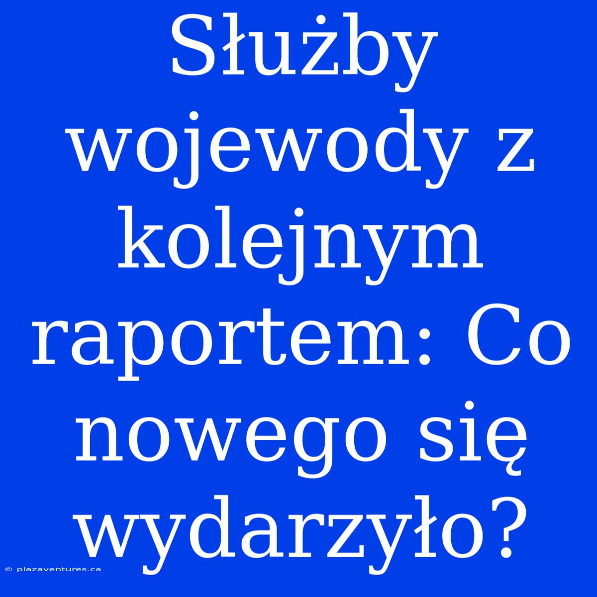 Służby Wojewody Z Kolejnym Raportem: Co Nowego Się Wydarzyło?