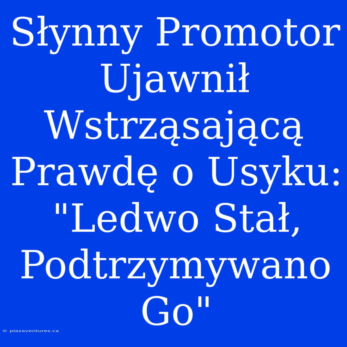 Słynny Promotor Ujawnił Wstrząsającą Prawdę O Usyku: 