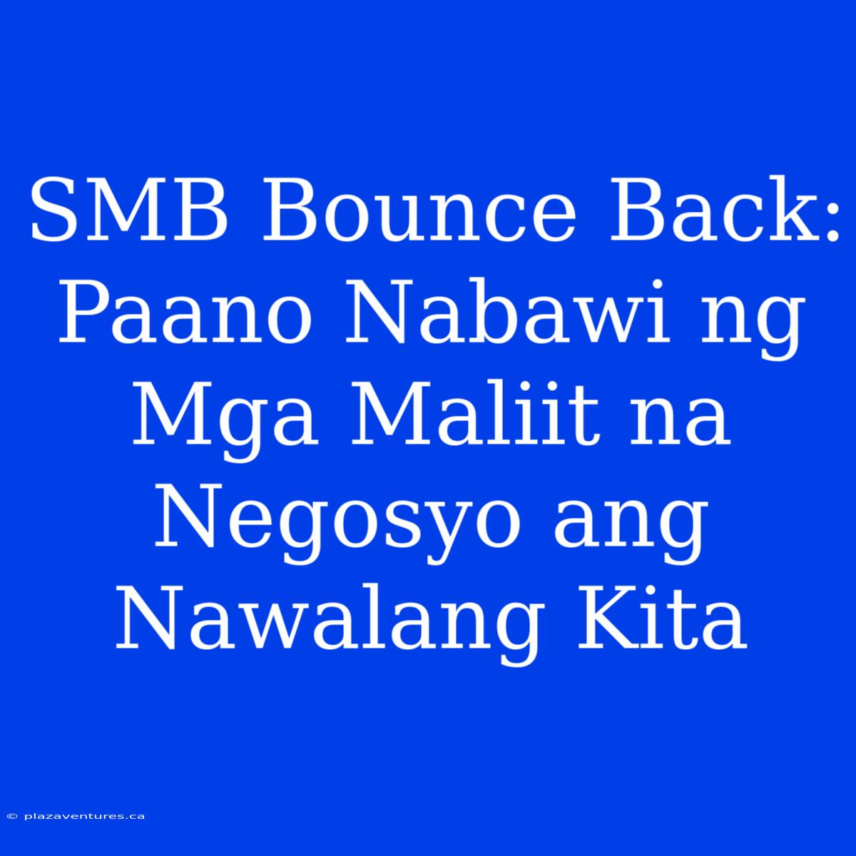 SMB Bounce Back: Paano Nabawi Ng Mga Maliit Na Negosyo Ang Nawalang Kita