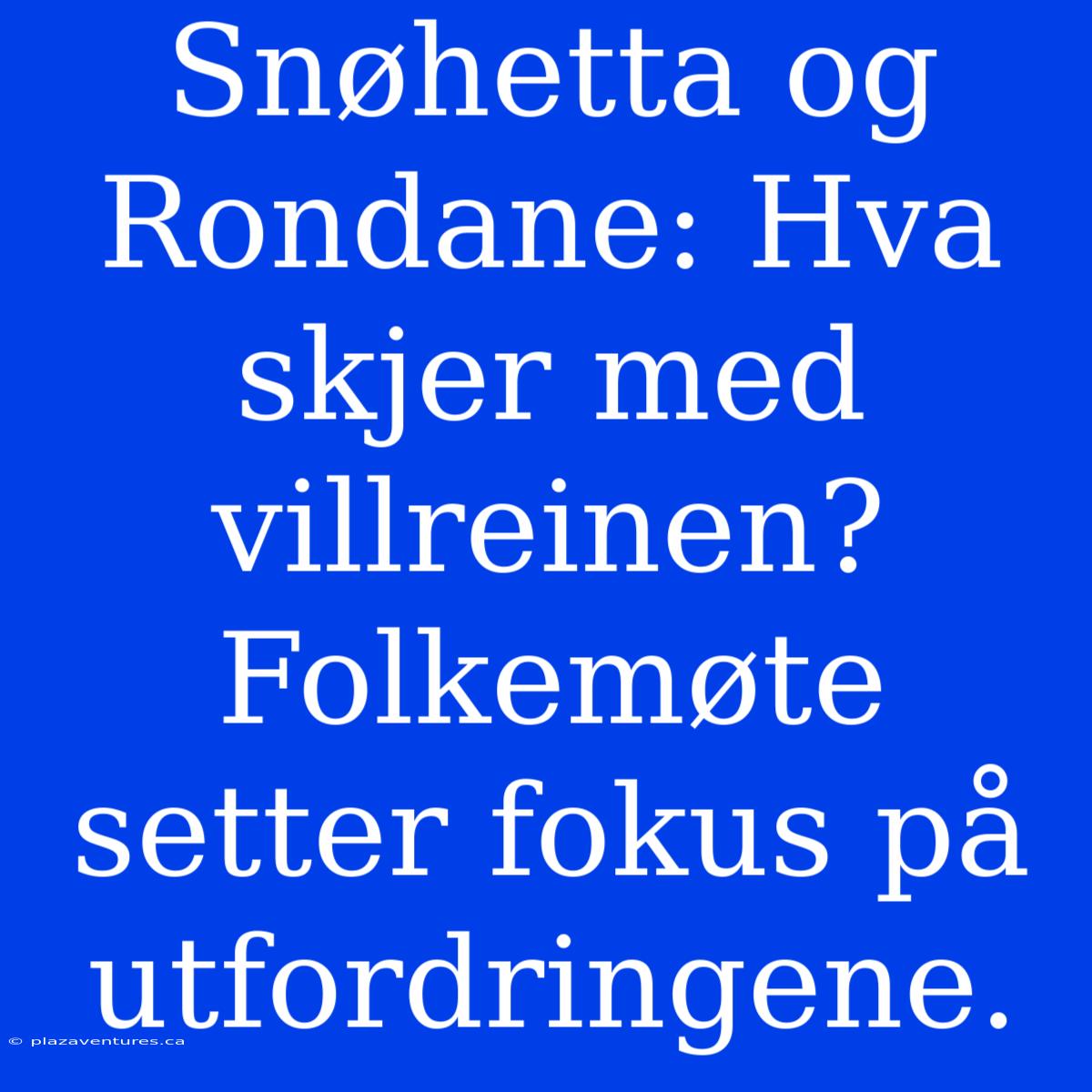 Snøhetta Og Rondane: Hva Skjer Med Villreinen? Folkemøte Setter Fokus På Utfordringene.