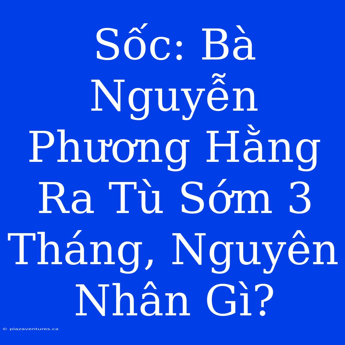 Sốc: Bà Nguyễn Phương Hằng Ra Tù Sớm 3 Tháng, Nguyên Nhân Gì?