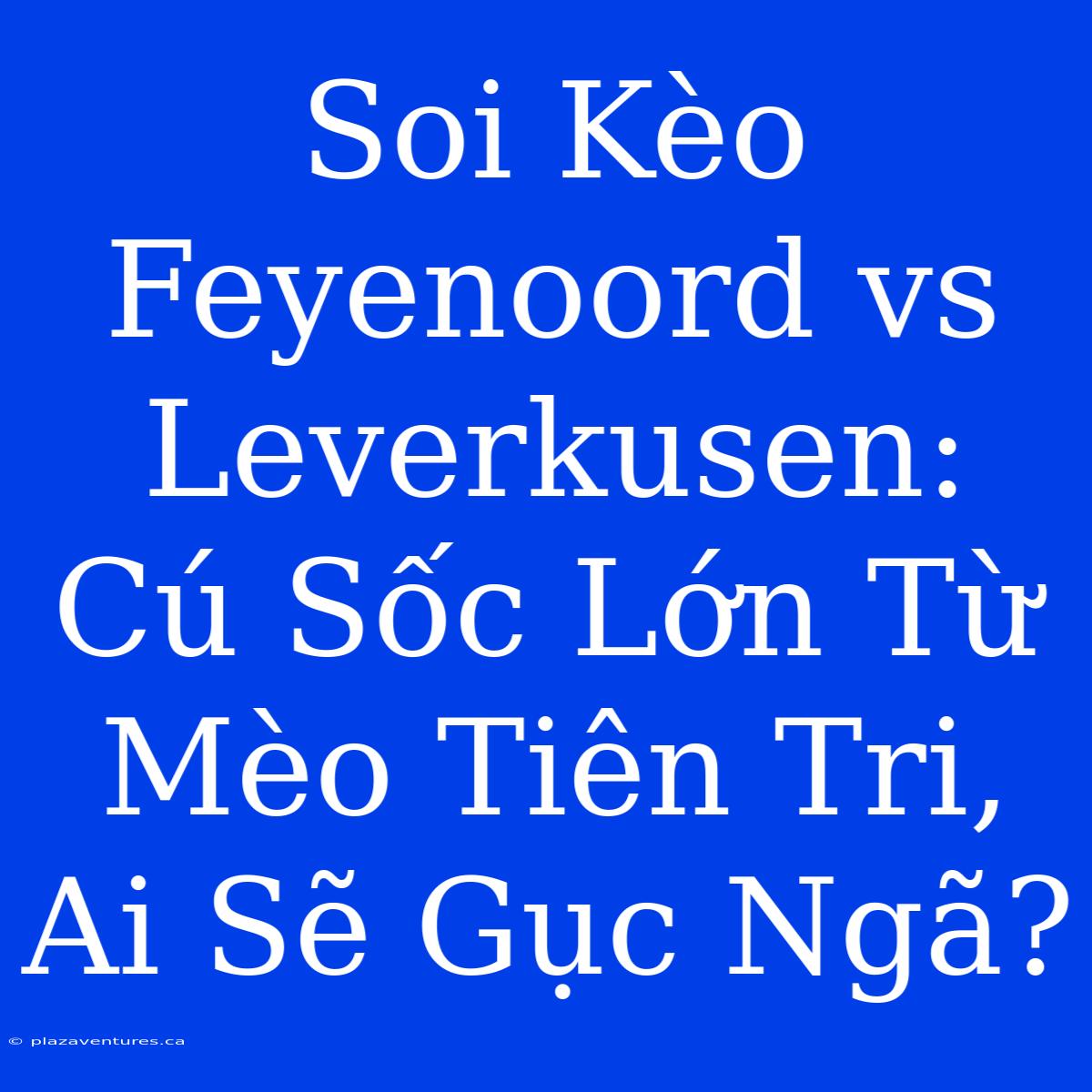 Soi Kèo Feyenoord Vs Leverkusen: Cú Sốc Lớn Từ Mèo Tiên Tri, Ai Sẽ Gục Ngã?