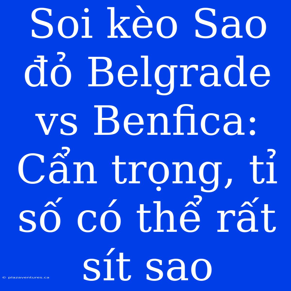 Soi Kèo Sao Đỏ Belgrade Vs Benfica: Cẩn Trọng, Tỉ Số Có Thể Rất Sít Sao