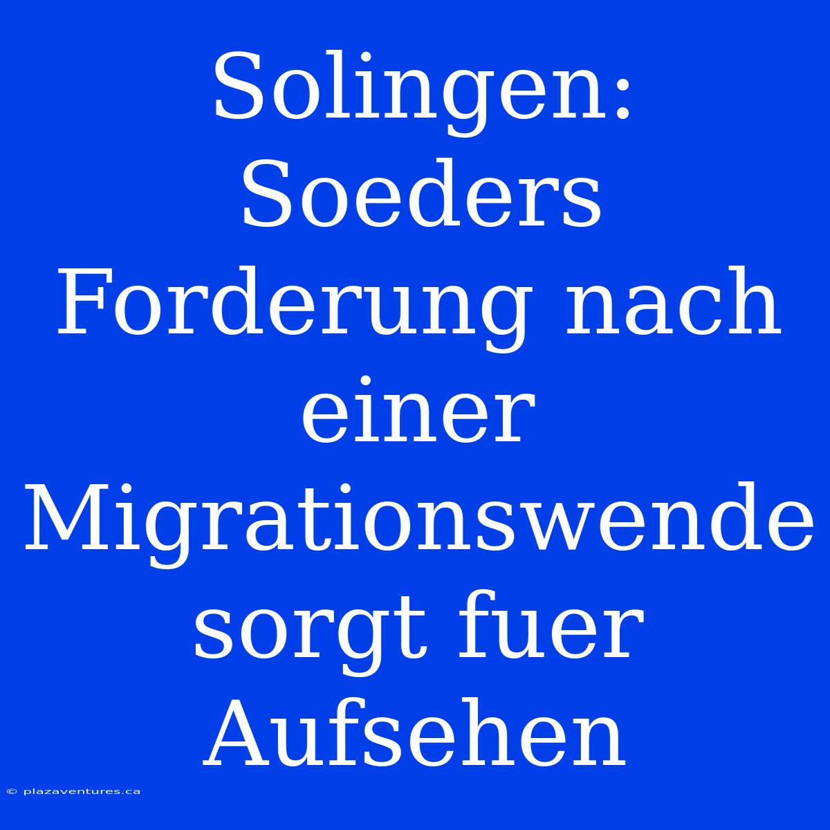 Solingen: Soeders Forderung Nach Einer Migrationswende Sorgt Fuer Aufsehen