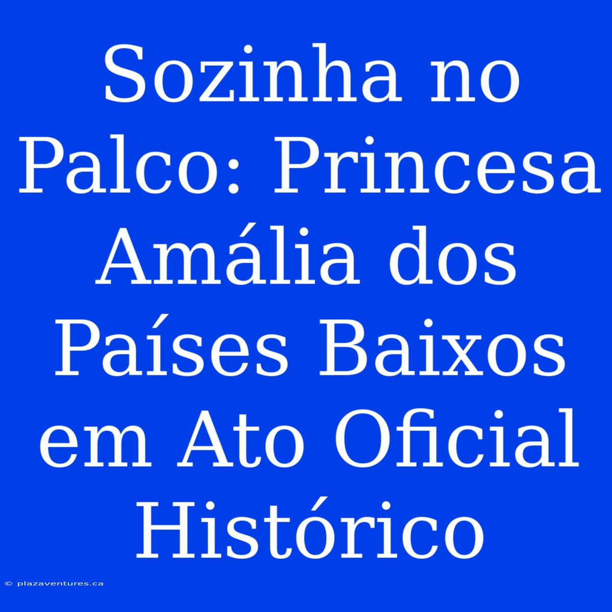 Sozinha No Palco: Princesa Amália Dos Países Baixos Em Ato Oficial Histórico