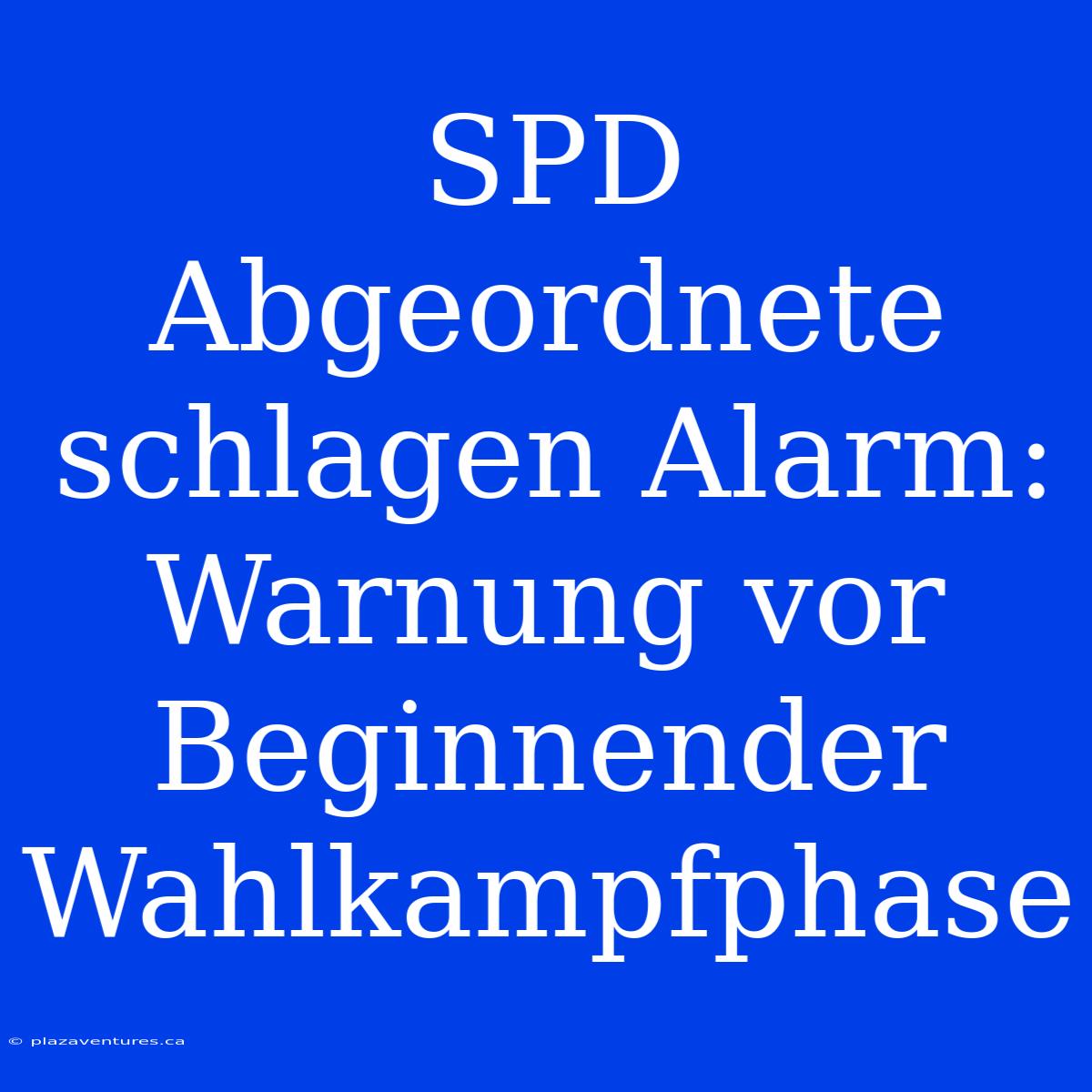 SPD Abgeordnete Schlagen Alarm: Warnung Vor Beginnender Wahlkampfphase