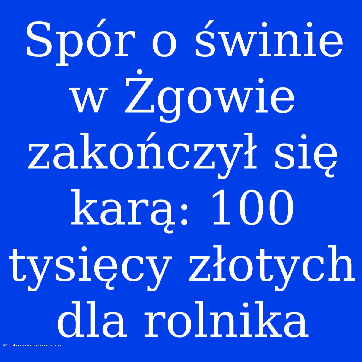 Spór O Świnie W Żgowie Zakończył Się Karą: 100 Tysięcy Złotych Dla Rolnika