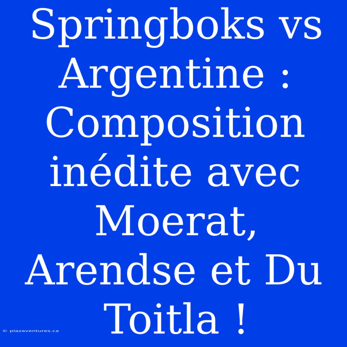 Springboks Vs Argentine : Composition Inédite Avec Moerat, Arendse Et Du Toitla !