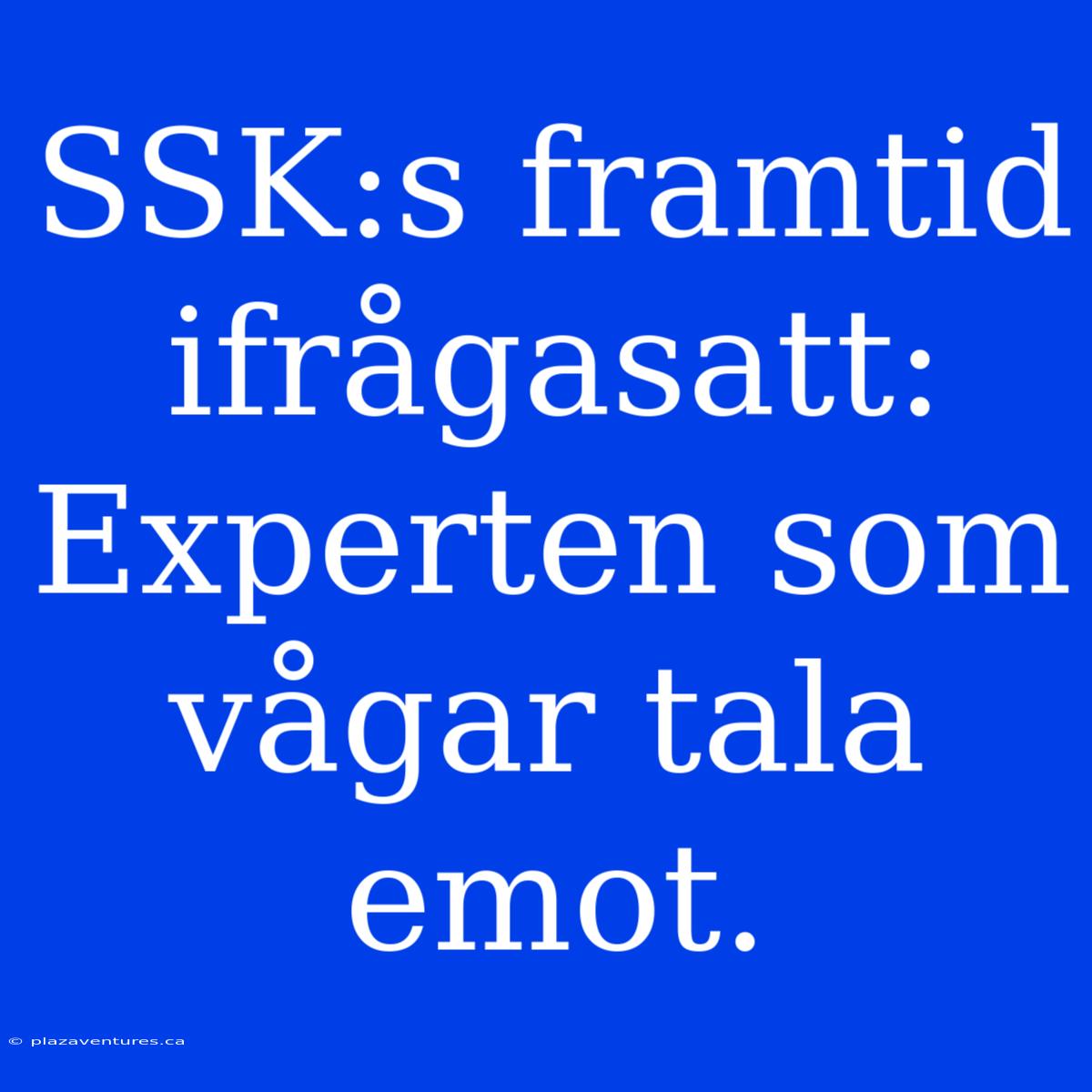 SSK:s Framtid Ifrågasatt: Experten Som Vågar Tala Emot.