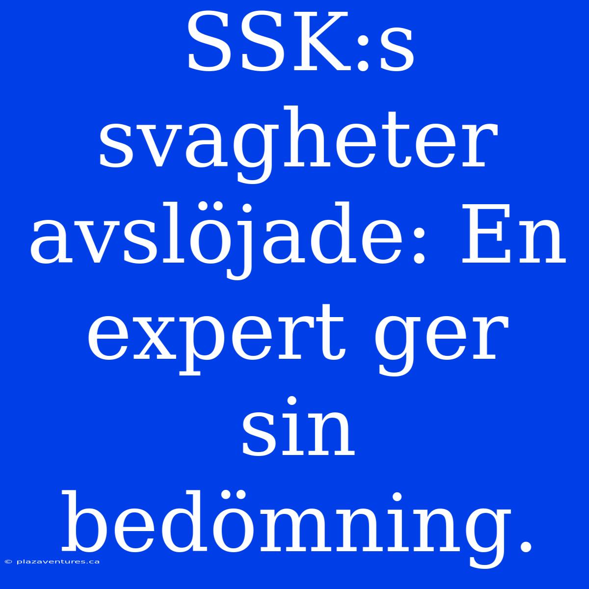 SSK:s Svagheter Avslöjade: En Expert Ger Sin Bedömning.